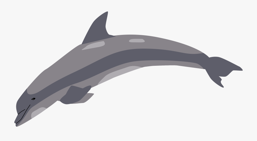Tucuxi,wildlife,short Beaked Common Dolphin - Dolphin Clip Art, Transparent Clipart