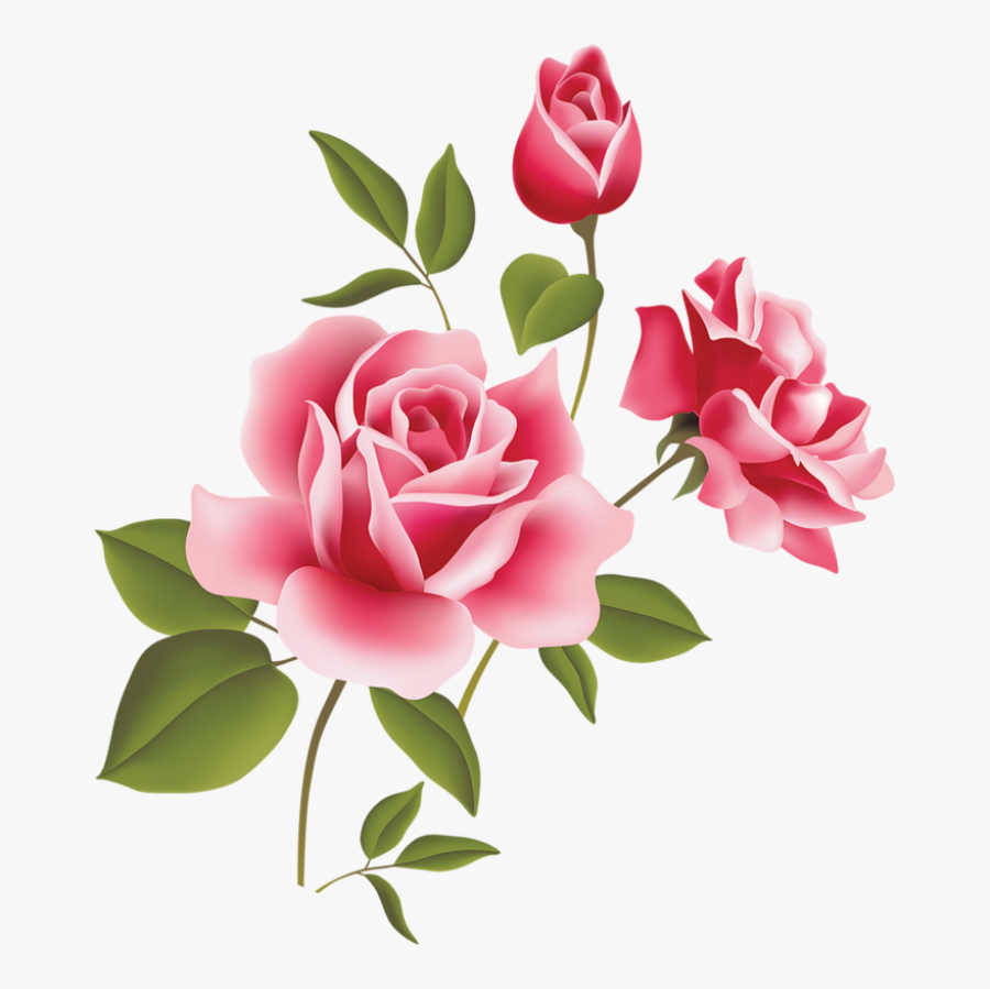 Thumb Image - Pink Rose Clipart, Transparent Clipart