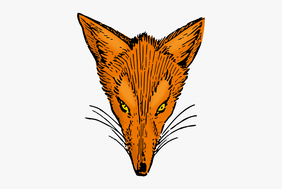 Red Fox Arctic Fox Gray Wolf Fox Television Stations - Fox, Transparent Clipart