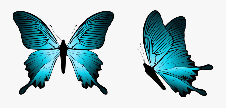 Blue Butterfly Clipart Transparent Background, Transparent Clipart