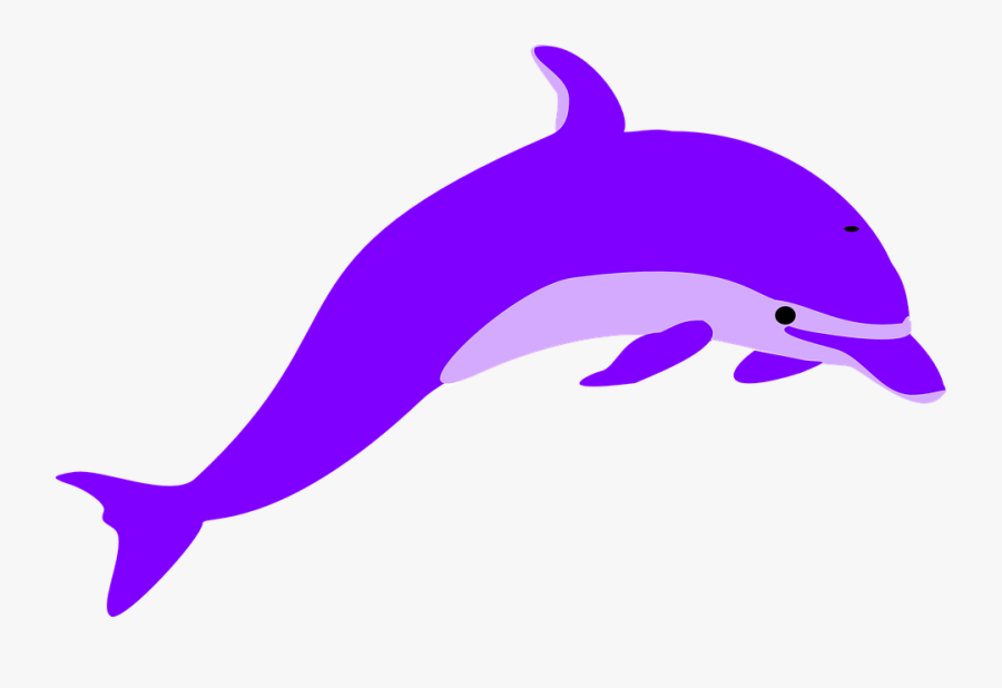 Dolphin Porpoise Mammal - Dolphin Clipart, Transparent Clipart