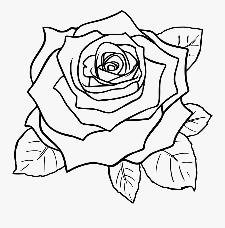 Roses Clipart Black And White - Draw A Rose Step, Transparent Clipart