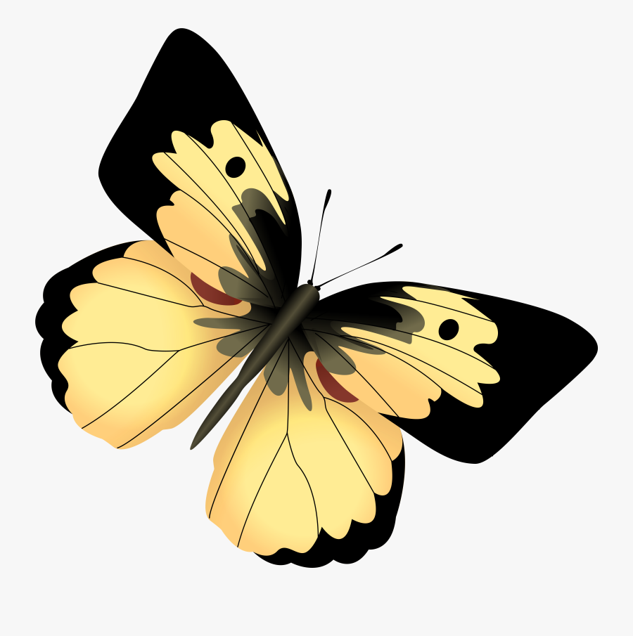 Black Butterfly Clipart Png, Transparent Clipart