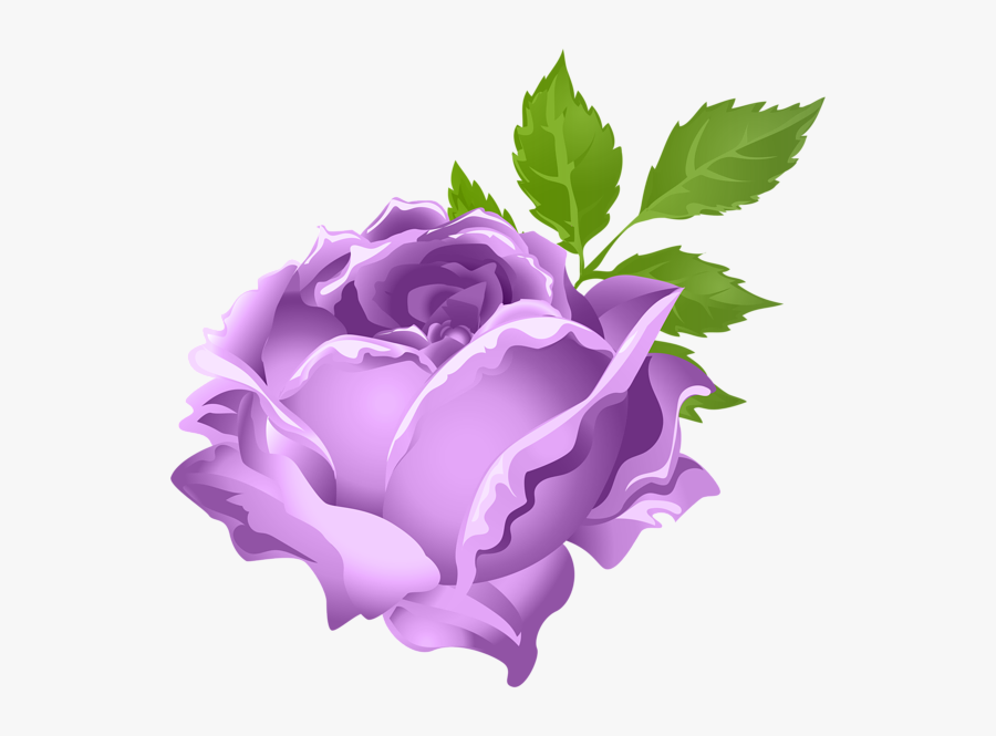 Transparent Rose Clipart Purple Png Free.