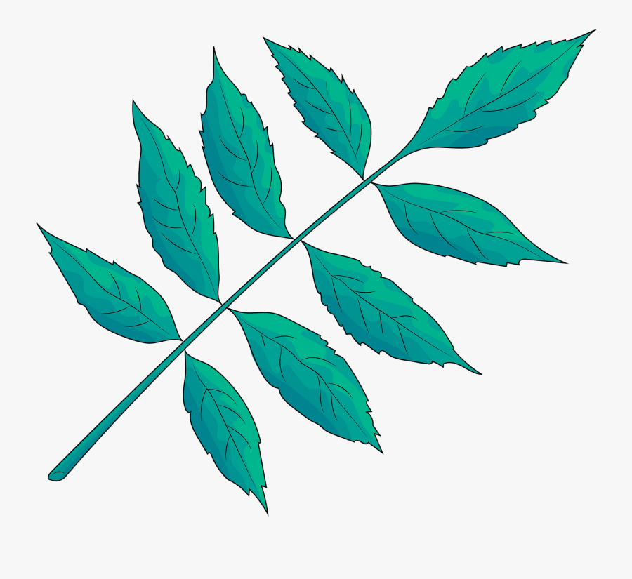 Illustration, Transparent Clipart