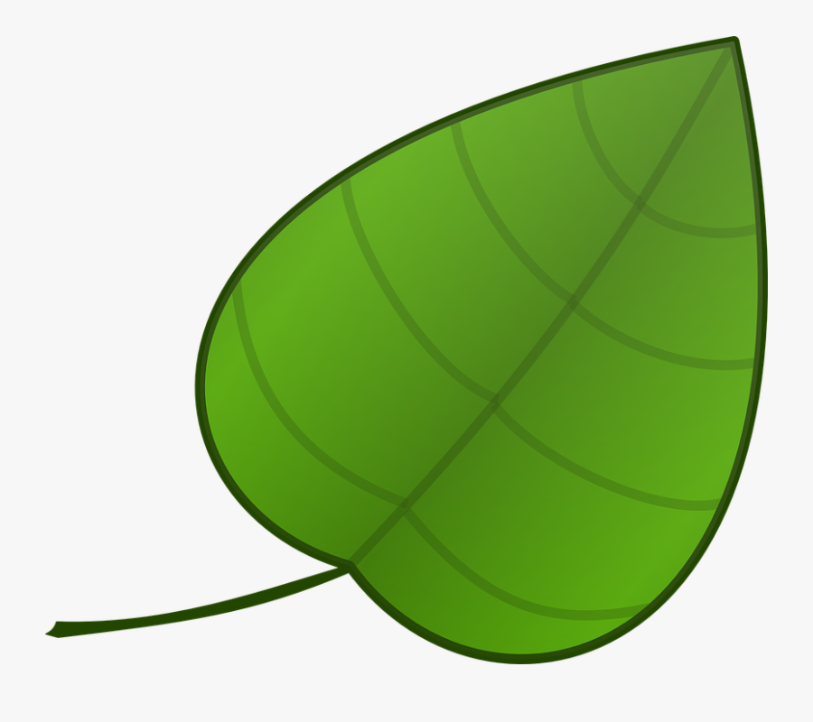 Paan Leaf Clip Art, Transparent Clipart