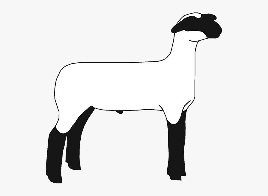 Market Lamb , Free Transparent Clipart ClipartKey