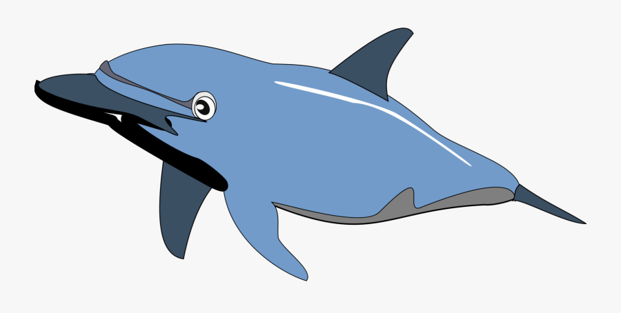 Shark,fish,dolphin - Water Animals Images Clipart, Transparent Clipart
