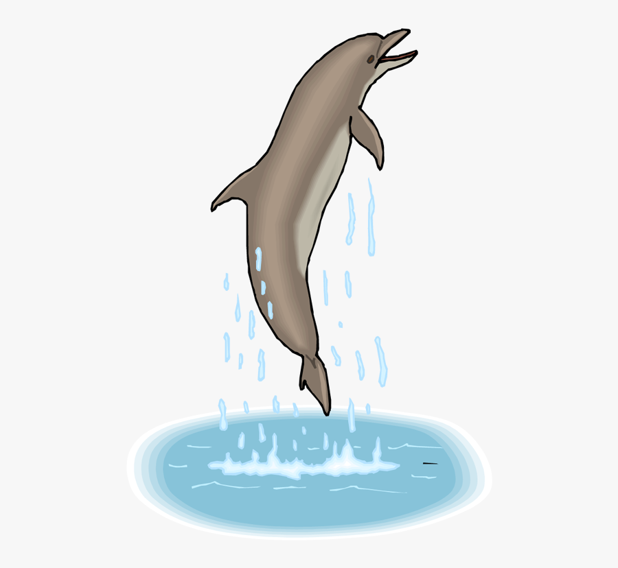 Jumping Dolphin Clipart Gif, Transparent Clipart