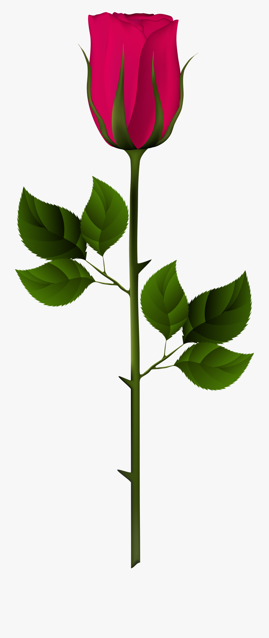 Portable Network Graphics, Transparent Clipart