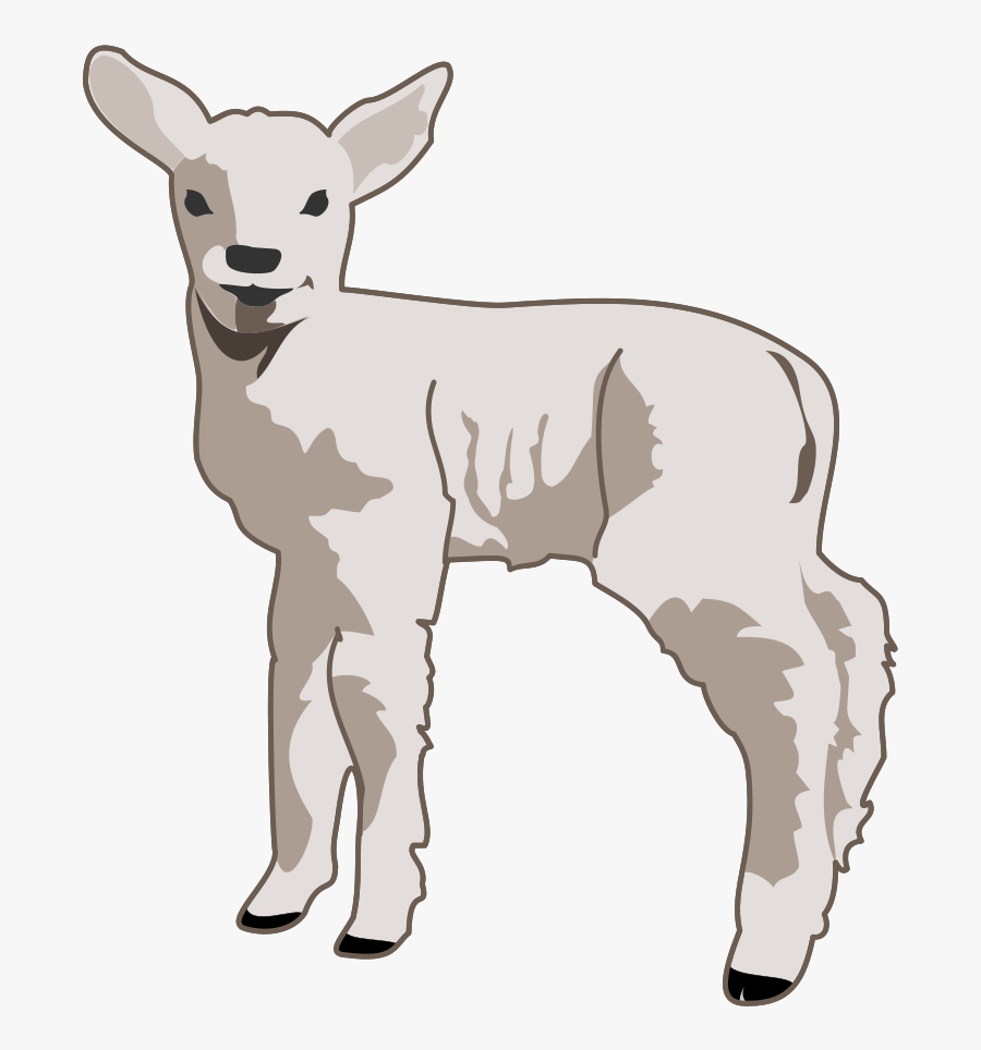 Transparent Clipart Animals - Transparent Background Sheep Clip Art, Transparent Clipart