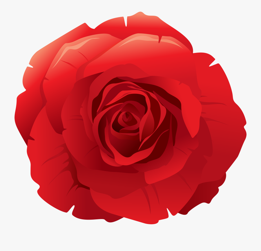 Red Rose Clipart At Getdrawings, Transparent Clipart