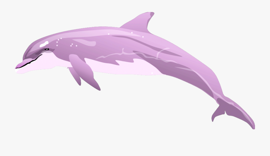 Transparent Bottlenose Dolphin Clipart - Fish, Transparent Clipart