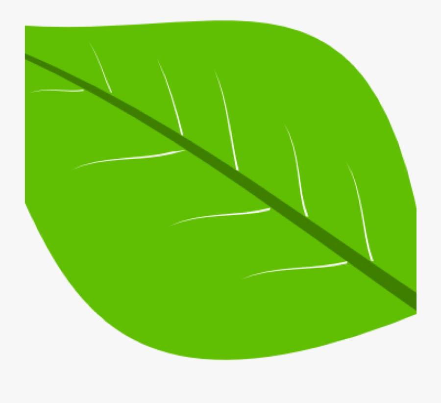 Green Leaf Clipart Green Leaf Clip Art At Clker Vector, Transparent Clipart