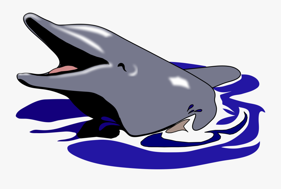 Dolphin Clipart File - Dolphin Mouth Open Clipart, Transparent Clipart