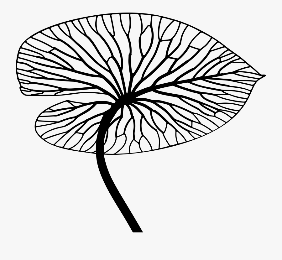 Detailed Leaf Line Art Clip Arts - Simbolos De Nueva Zelanda, Transparent Clipart
