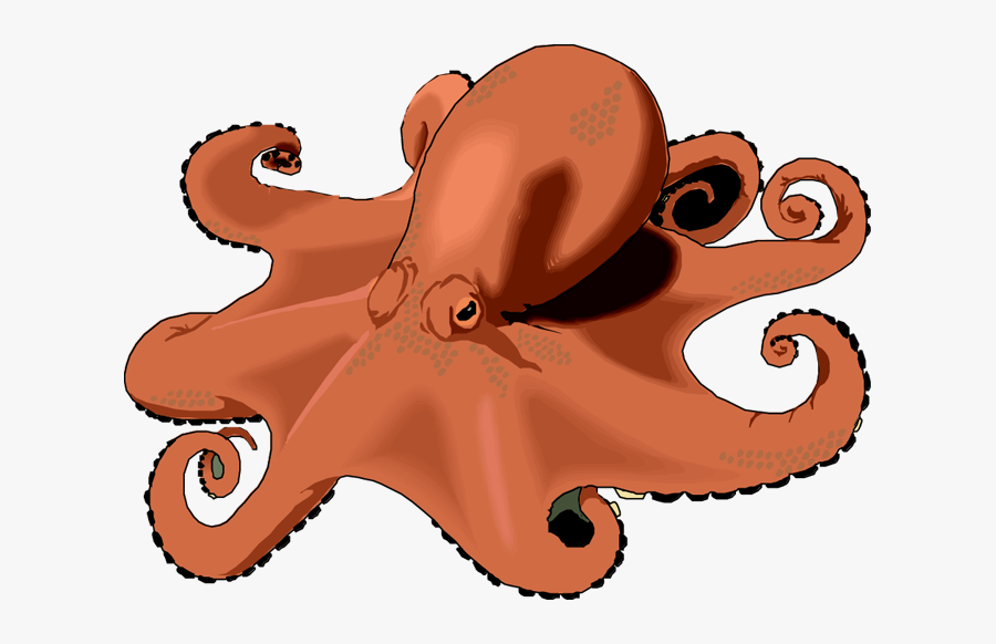 Octopus Clipart Free Clipart Images - Octopus Clipartpanda, Transparent Clipart
