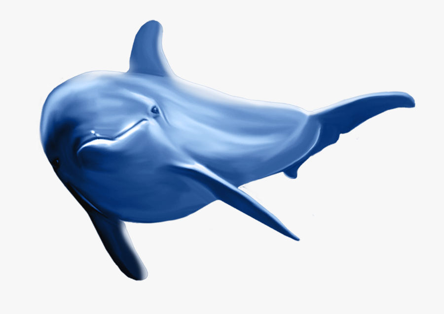 Dolphin Png Clip Art Image - Dolphin Png, Transparent Clipart