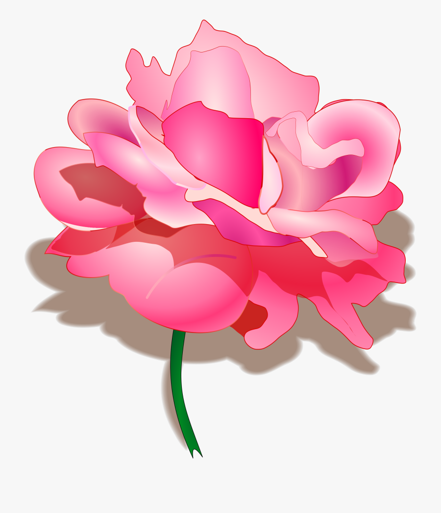 Rose By, Transparent Clipart