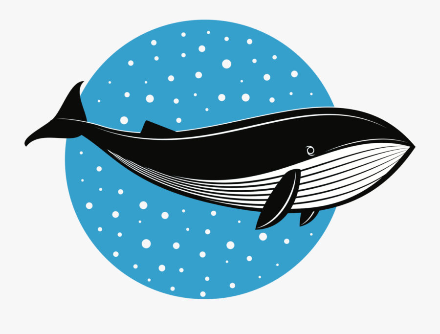 Blue Whale,bowhead,dolphin - Whale Fish Drawing, Transparent Clipart