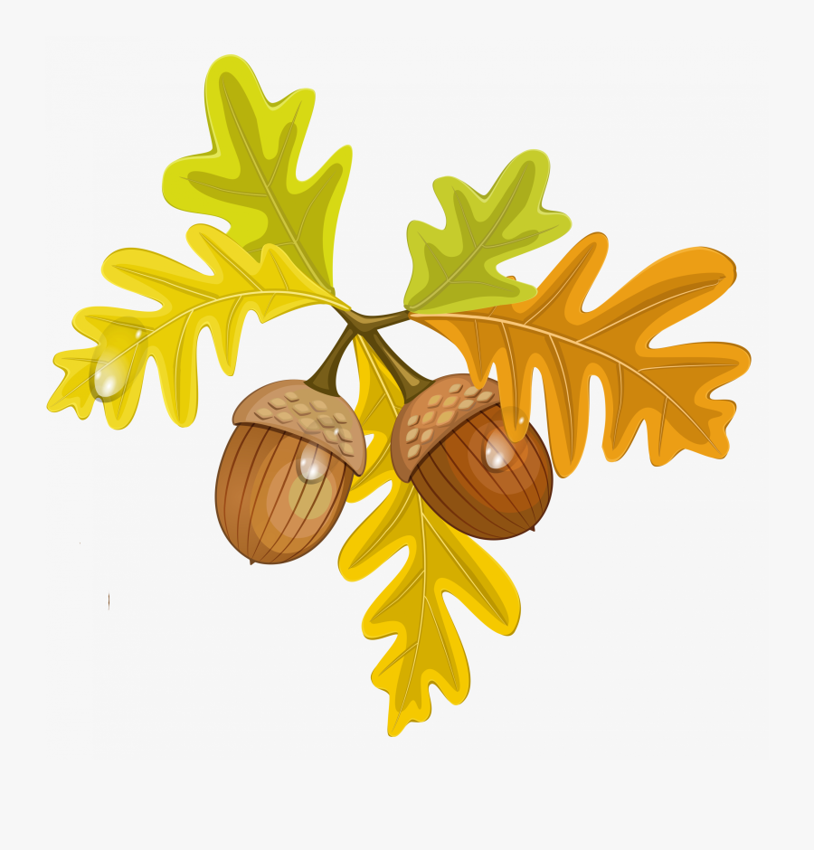Acorn Clipart Small - Leaves And Acorns Clipart, Transparent Clipart