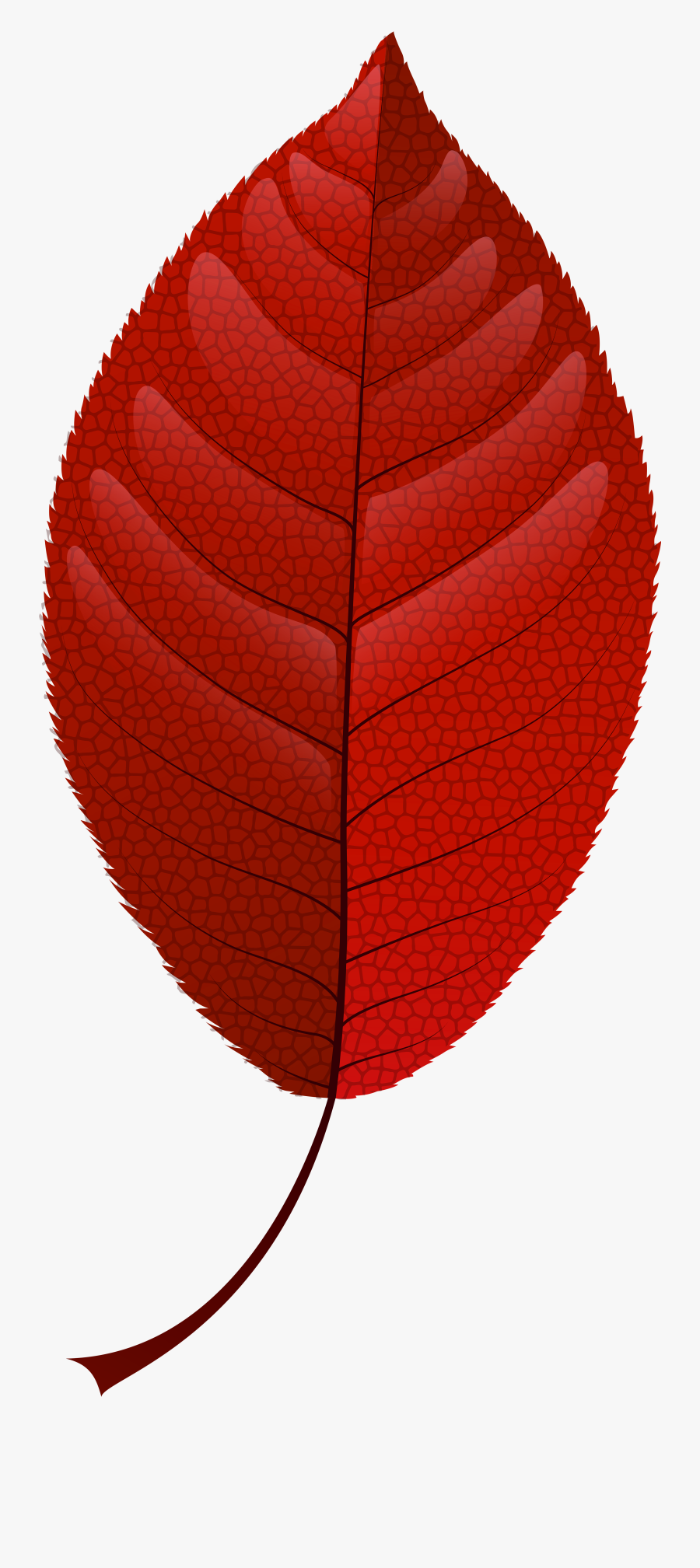 Fall Leaf Png Clip - Clip Art, Transparent Clipart