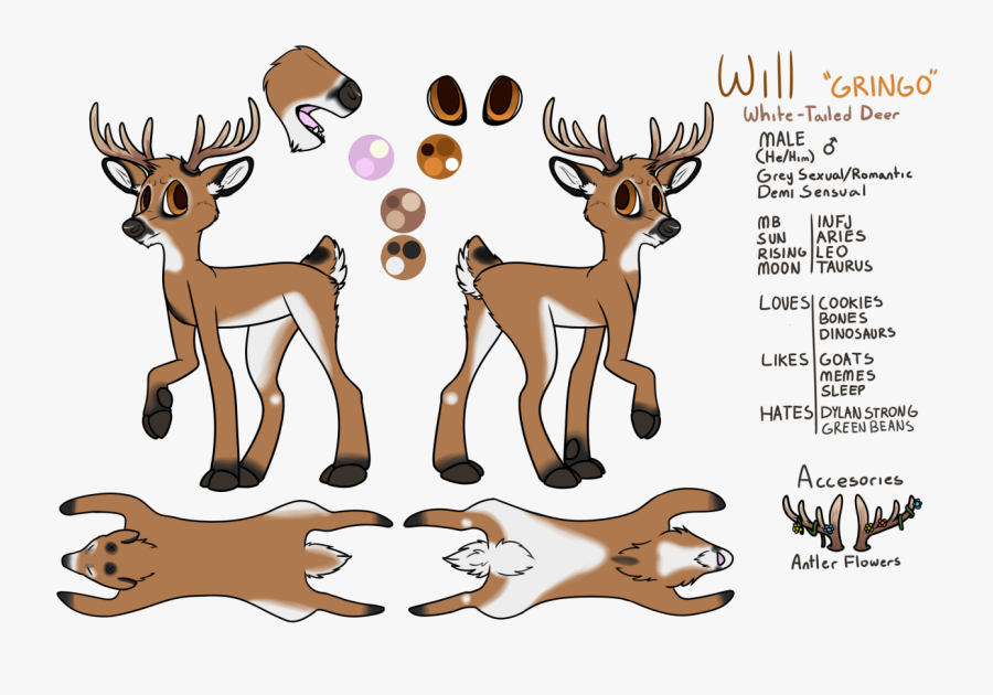 Transparent Whitetail Deer Clipart - Cartoon, Transparent Clipart