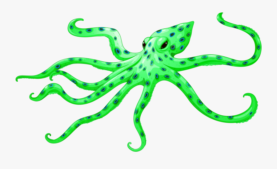 Green Octopus Png Clipart - Starts With Letter 0, Transparent Clipart