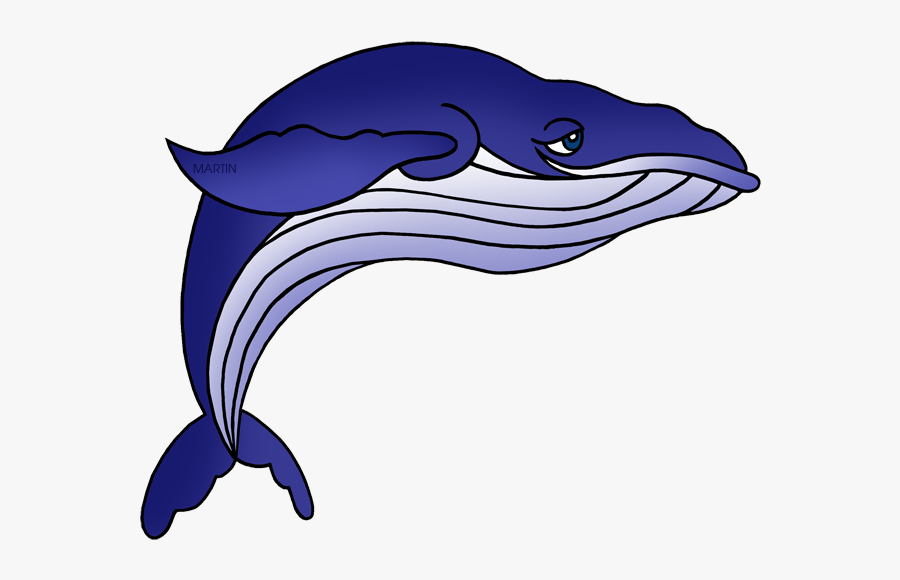 Bottlenose Dolphin Clipart Phillip Martin, Transparent Clipart