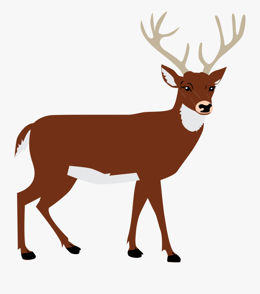 Clip Art Deer Clip Art Images - Deer Png Clipart, Transparent Clipart