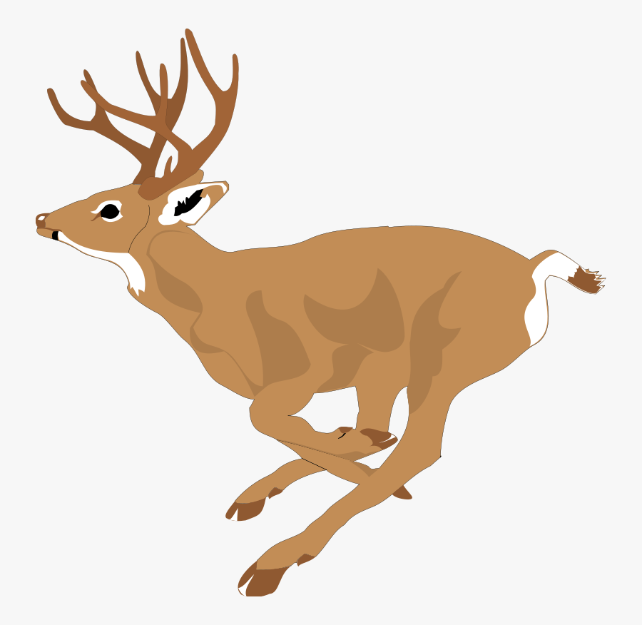 Deer Antlers Side View, Transparent Clipart