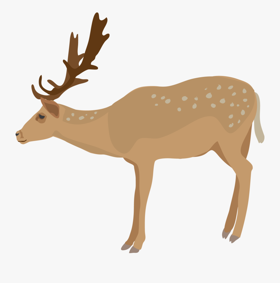 Cute Baby Deer Clipart Free Images - Dear Clipart, Transparent Clipart