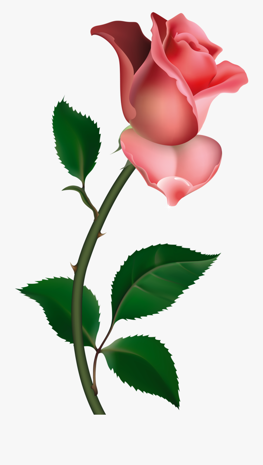 Free Rose Clipart Public Domain Flower Clip Art Images - Free Rose Clip Art, Transparent Clipart