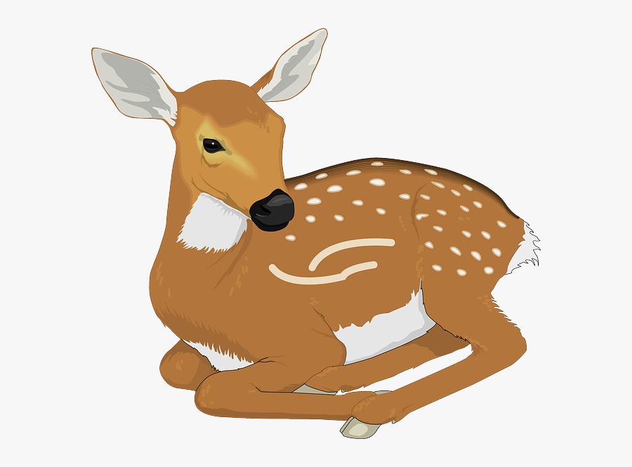 Deer Clipart, Transparent Clipart