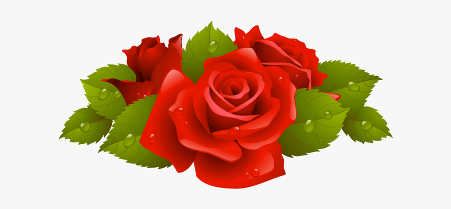 Rose Png, Transparent Clipart