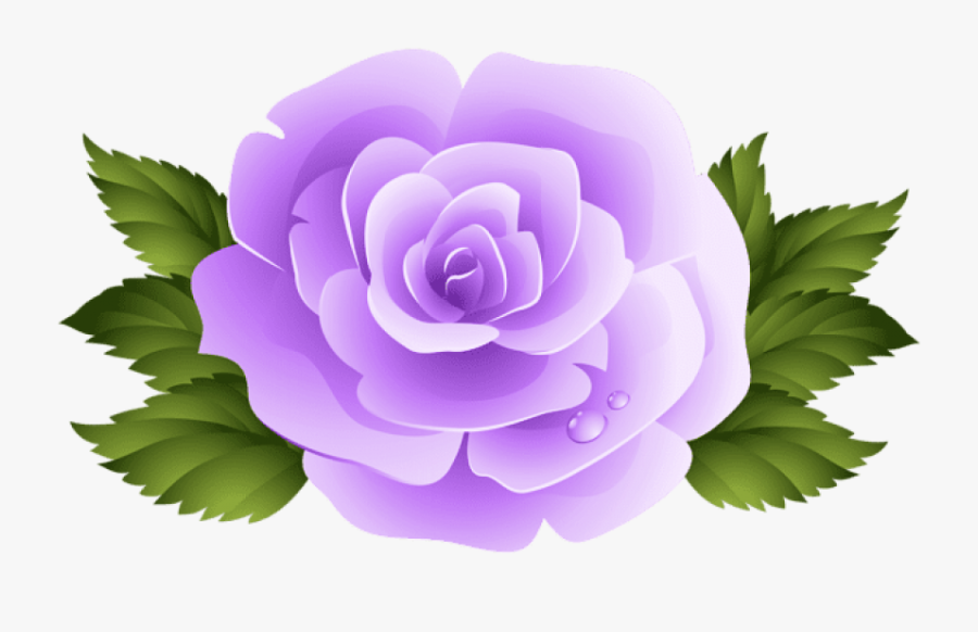 Purple Rose Png - Pink Roses Clip Art Png , Free Transparent Clipart - Cl.....
