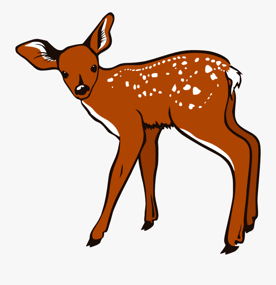 Deer Clip Art - Deer Clipart Transparent, Transparent Clipart