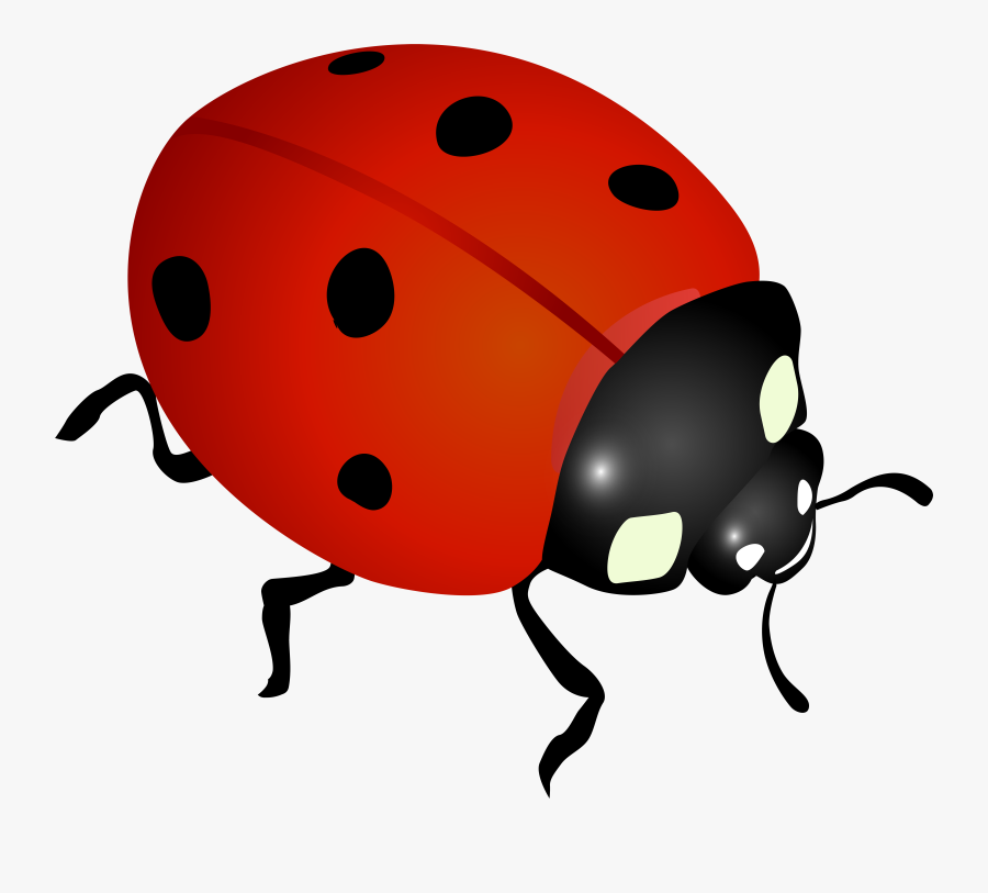 Ladybug Image Gallery Yopriceville, Transparent Clipart