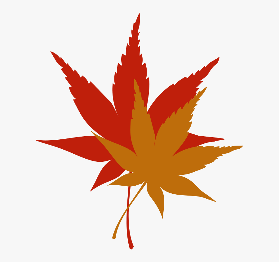 Japanese Maple Leaf Free Clip - Fall Leaves Clip Art, Transparent Clipart