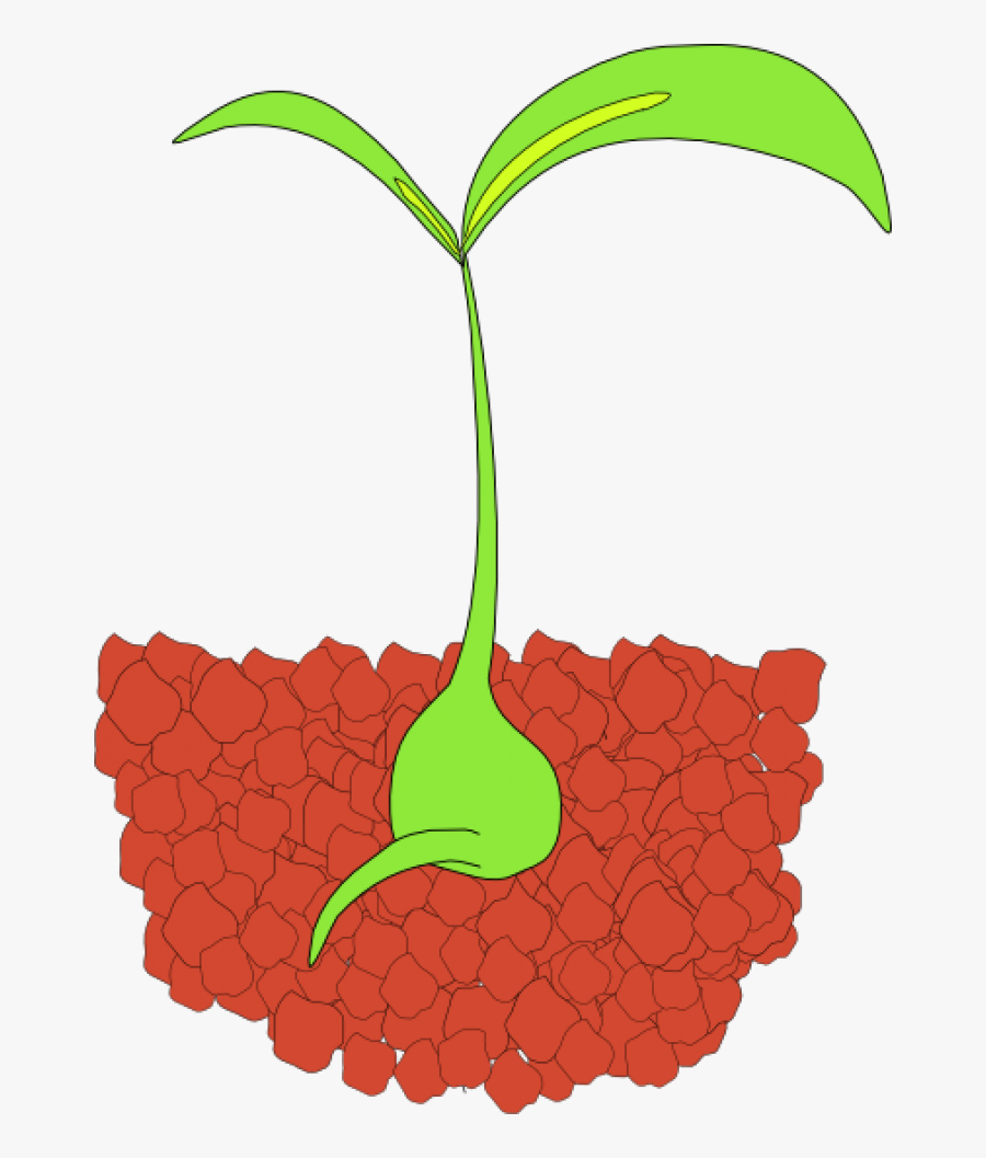 April - Showers - Bring - May - Flowers - Clip - Art - Seedling Clip Art, Transparent Clipart