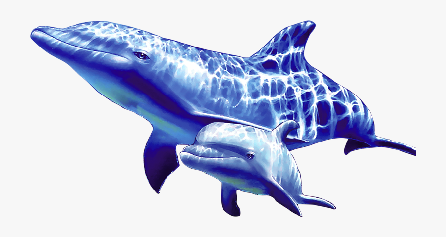 Transparent Dolphin Clipart Png - Dolphin Underwater Png, Transparent Clipart