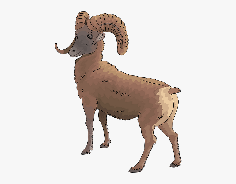 Bighorn, Transparent Clipart