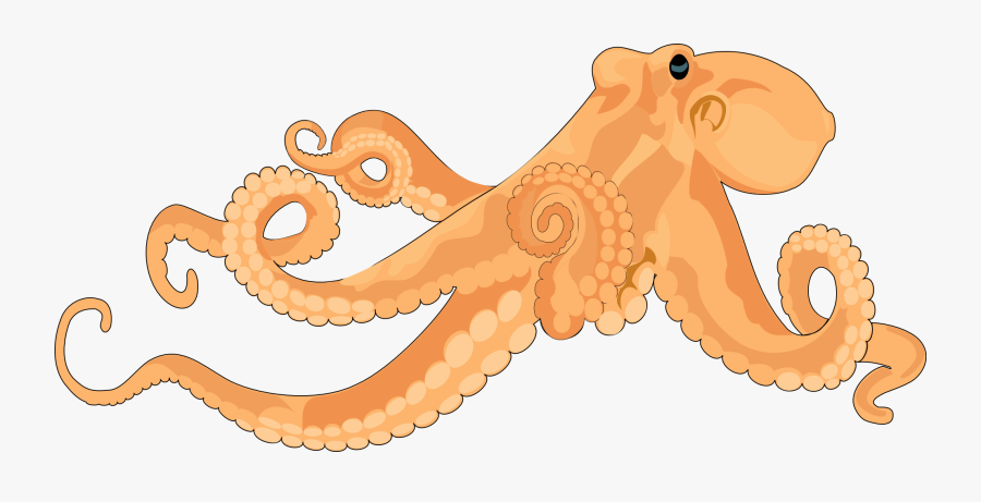 Octopus Clipart Free Clipart Image - Cartoon Transparent Realistic Octopus, Transparent Clipart