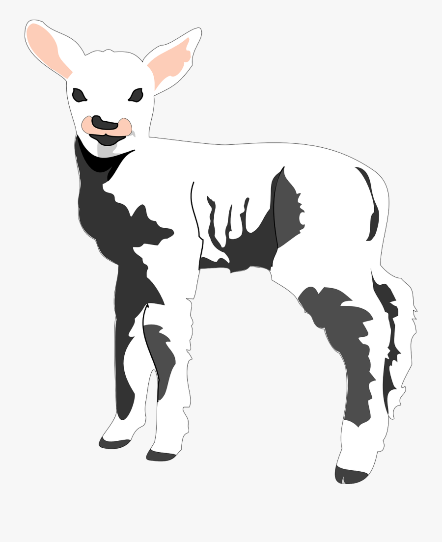 Sheep Clip Art, Transparent Clipart