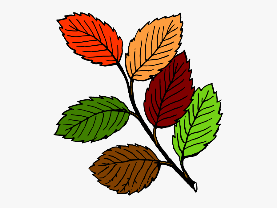 Fall Leaves Svg Clip Arts - Plants Drawing With Color, Transparent Clipart