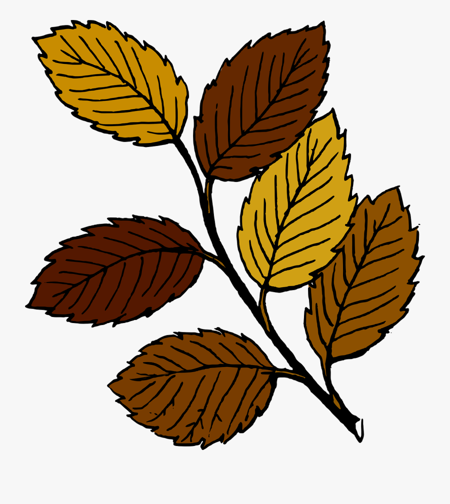 Leaves Clip Art, Transparent Clipart