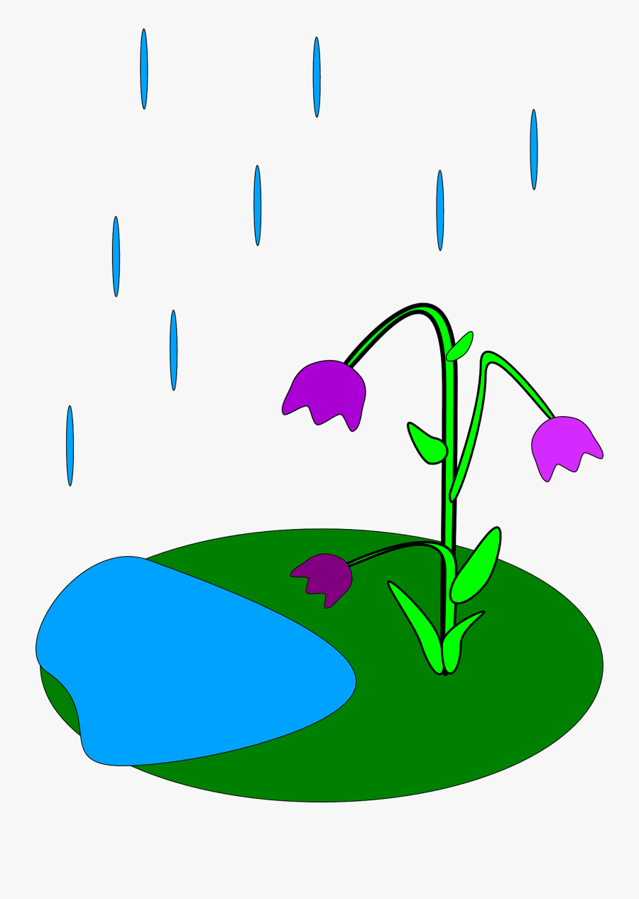 Gallery For April Showers Bring May Flowers Clip Art - Rain And Flowers Clipart, Transparent Clipart
