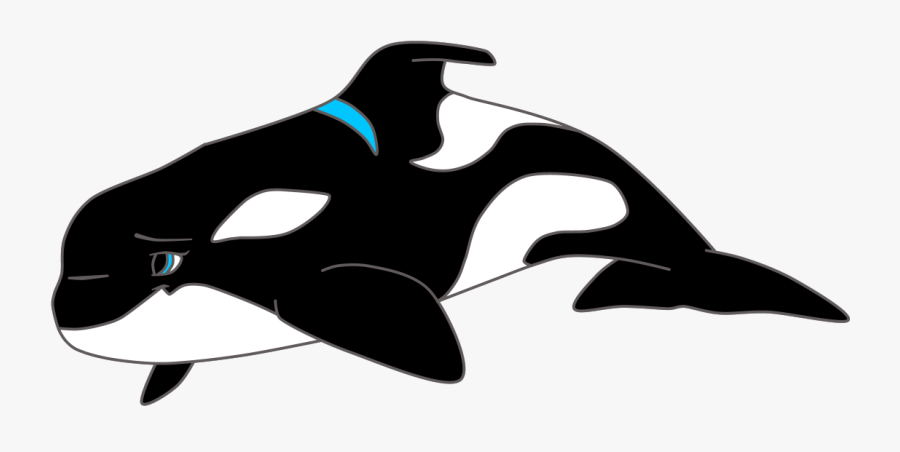 Dolphin Clipart Images Black And White, Transparent Clipart