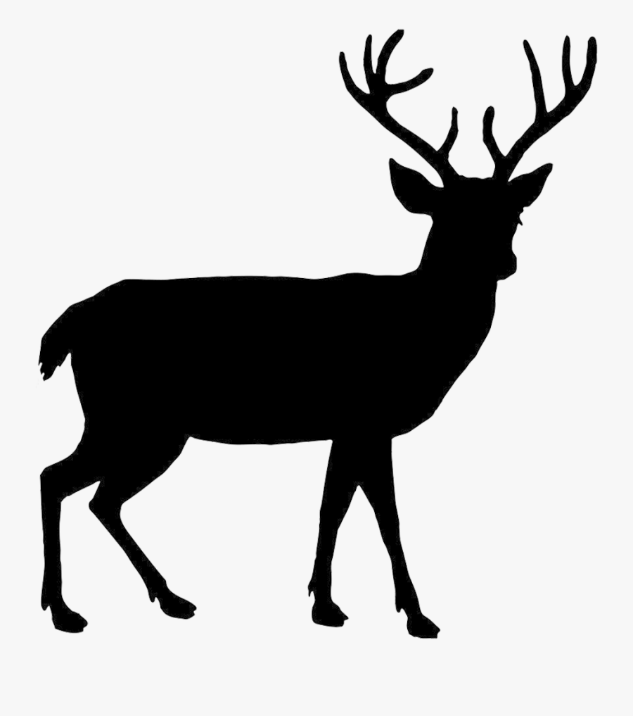 Deer Png - Deer Silhouette Png, Transparent Clipart