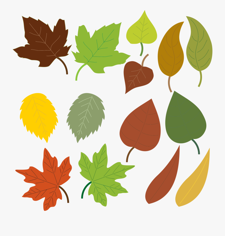 Leaves Clipart, Transparent Clipart